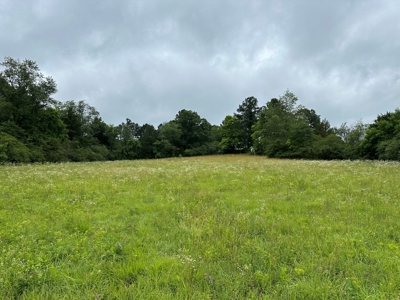 15.45+/- Acres of Commercial/Development Land in Searcy, AR - image 9