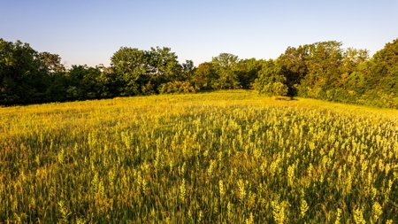 Experience Premier Hunting & Living in Wapello County, Iowa - image 23