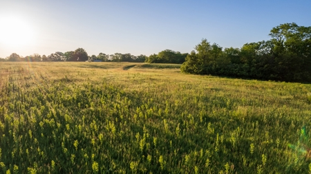 Experience Premier Hunting & Living in Wapello County, Iowa - image 22