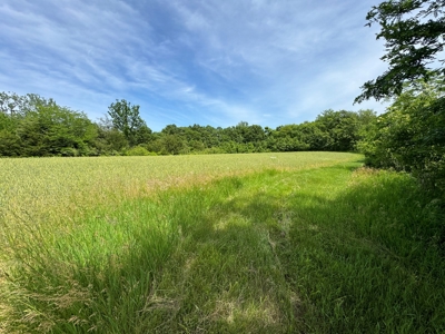Experience Premier Hunting & Living in Wapello County, Iowa - image 37