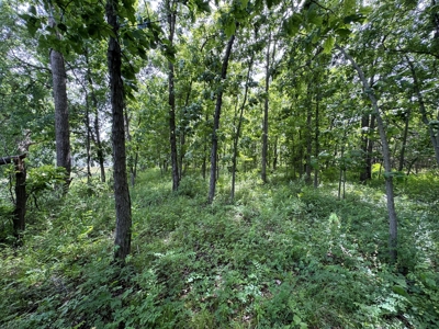 Experience Premier Hunting & Living in Wapello County, Iowa - image 38