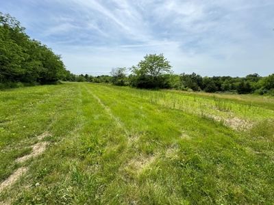 Experience Premier Hunting & Living in Wapello County, Iowa - image 35
