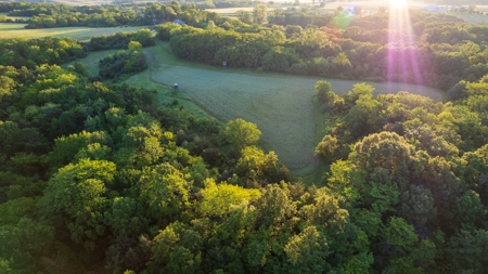 Experience Premier Hunting & Living in Wapello County, Iowa - image 8