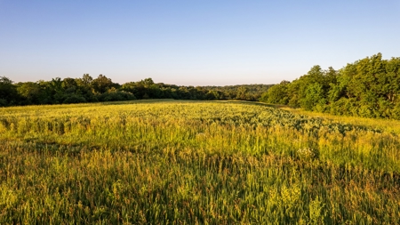 Experience Premier Hunting & Living in Wapello County, Iowa - image 27