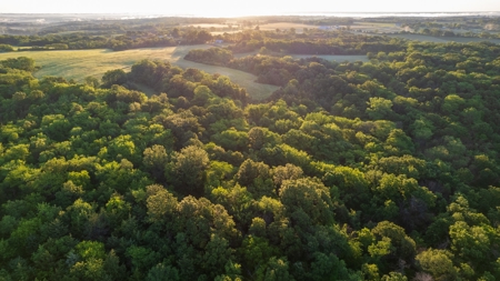 Experience Premier Hunting & Living in Wapello County, Iowa - image 7