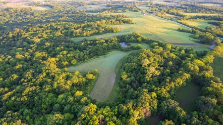 Experience Premier Hunting & Living in Wapello County, Iowa - image 3
