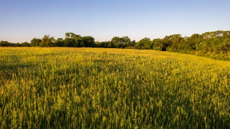 Experience Premier Hunting & Living in Wapello County, Iowa - image 24