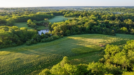 Experience Premier Hunting & Living in Wapello County, Iowa - image 20