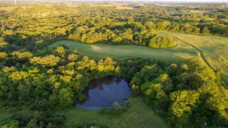 Experience Premier Hunting & Living in Wapello County, Iowa - image 10