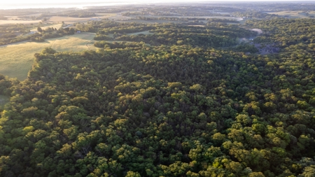 Experience Premier Hunting & Living in Wapello County, Iowa - image 4