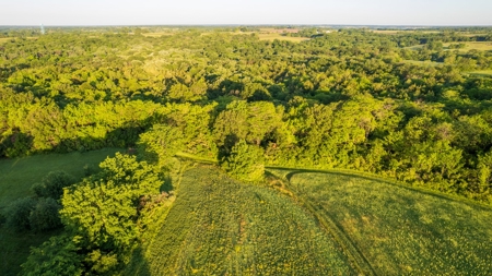 Experience Premier Hunting & Living in Wapello County, Iowa - image 18