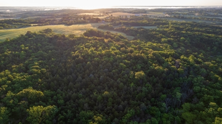 Experience Premier Hunting & Living in Wapello County, Iowa - image 6