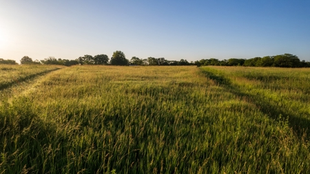Experience Premier Hunting & Living in Wapello County, Iowa - image 25