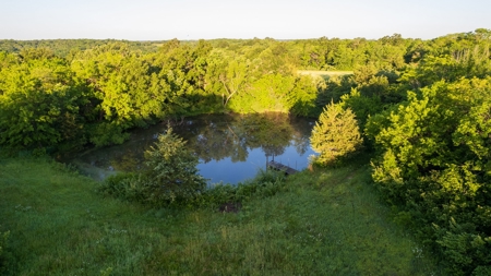 Experience Premier Hunting & Living in Wapello County, Iowa - image 28