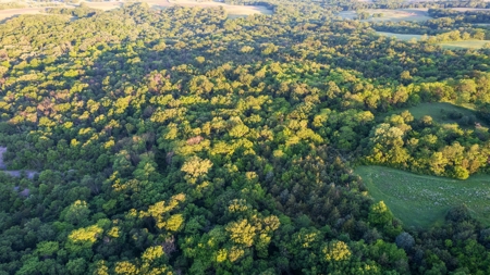 Experience Premier Hunting & Living in Wapello County, Iowa - image 9