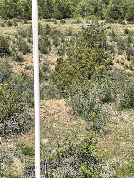 Mountain Lot Build, Camp, Rent Near Salida Monarch
