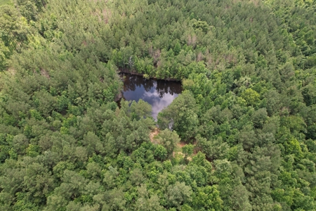174 Acre Timberland Property For Sale Amite County MS - image 20