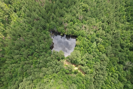 174 Acre Timberland Property For Sale Amite County MS - image 21