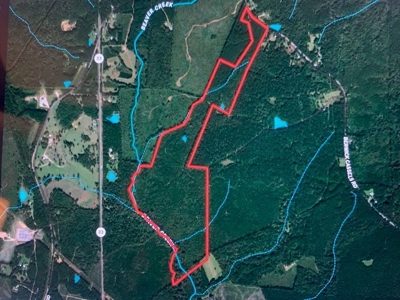 174 Acre Timberland Property For Sale Amite County MS - image 11