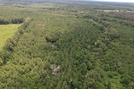 174 Acre Timberland Property For Sale Amite County MS - image 17