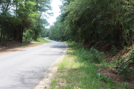 174 Acre Timberland Property For Sale Amite County MS - image 31