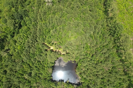 174 Acre Timberland Property For Sale Amite County MS - image 28