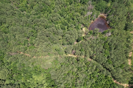 174 Acre Timberland Property For Sale Amite County MS - image 24
