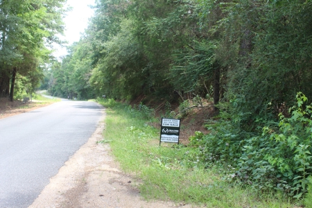 174 Acre Timberland Property For Sale Amite County MS - image 30