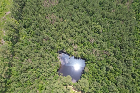 174 Acre Timberland Property For Sale Amite County MS - image 26