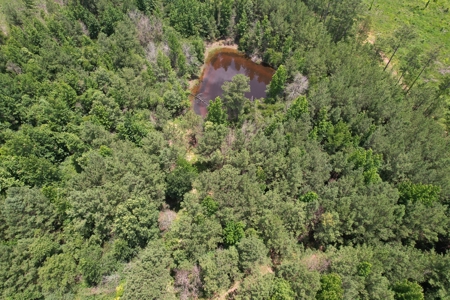 174 Acre Timberland Property For Sale Amite County MS - image 25