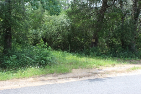 174 Acre Timberland Property For Sale Amite County MS - image 32