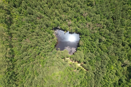 174 Acre Timberland Property For Sale Amite County MS - image 27