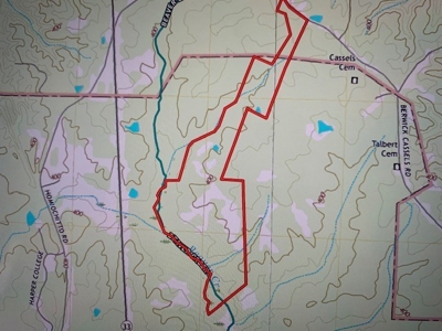 174 Acre Timberland Property For Sale Amite County MS - image 12