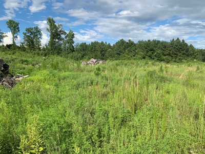 Land W/ Kelly Bayou W/ Utilities for Sale near Fouke, AR - image 10