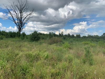 Land W/ Kelly Bayou W/ Utilities for Sale near Fouke, AR - image 8