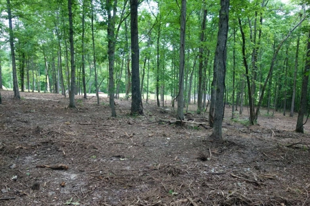 Land For Sale In Eminence Missouri - image 15