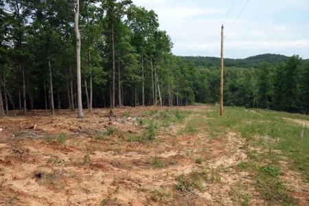 Land For Sale In Eminence Missouri - image 4