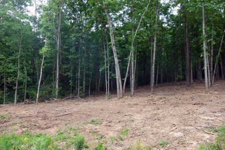 Land For Sale In Eminence Missouri - image 12