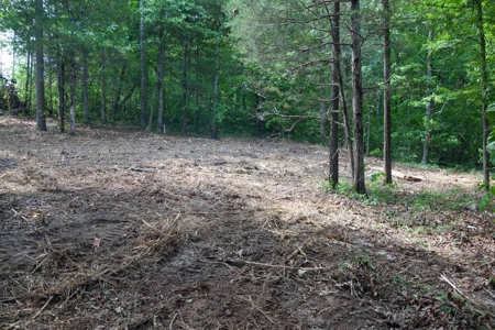 Land For Sale In Eminence Missouri - image 10