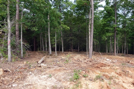 Land For Sale In Eminence Missouri - image 6