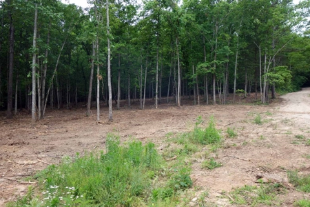 Land For Sale In Eminence Missouri - image 13