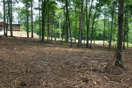 Land For Sale In Eminence Missouri - image 19