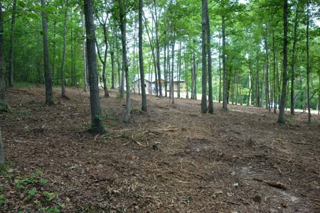 Land For Sale In Eminence Missouri - image 14