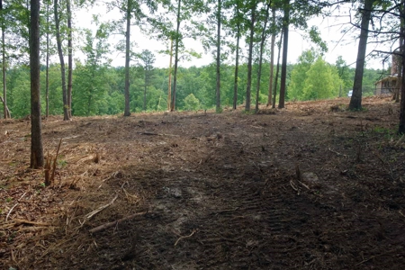 Land For Sale In Eminence Missouri - image 8