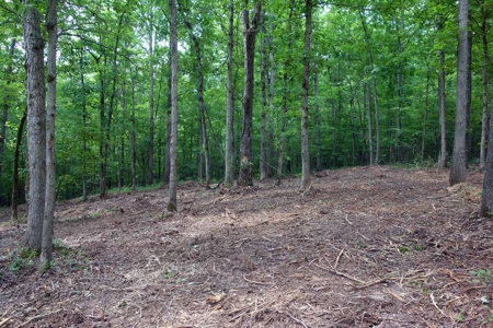 Land For Sale In Eminence Missouri - image 16