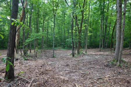 Land For Sale In Eminence Missouri - image 17