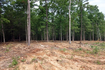 Land For Sale In Eminence Missouri - image 5