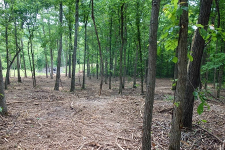 Land For Sale In Eminence Missouri - image 18