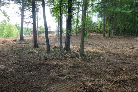 Land For Sale In Eminence Missouri - image 9