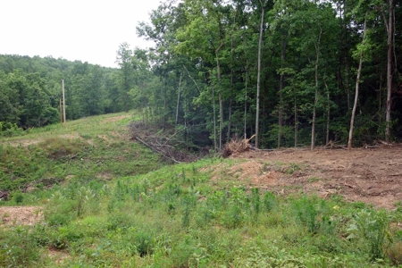 Land For Sale In Eminence Missouri - image 11